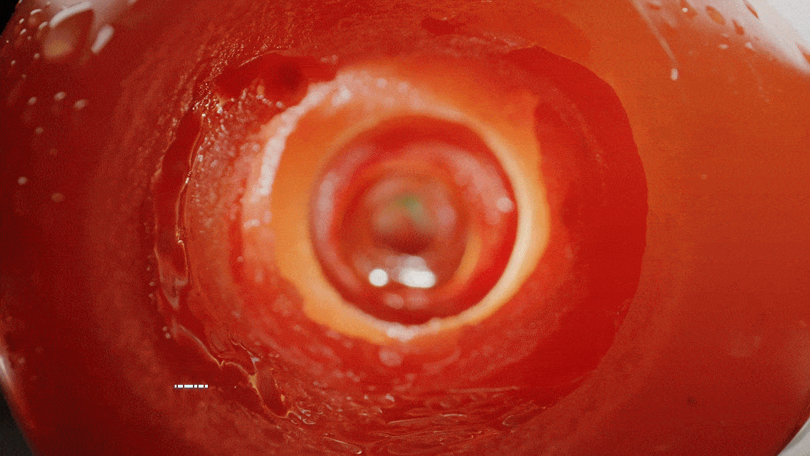 1773293982140830.gif 3月12日(1).gif